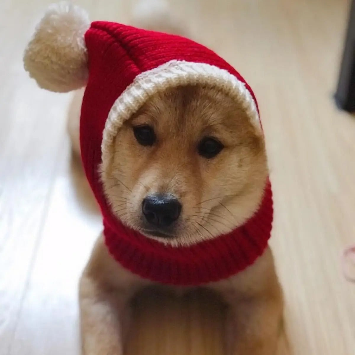 Christmas Knit Pet Hat – Festive Red for All Dogs_CWAH3705