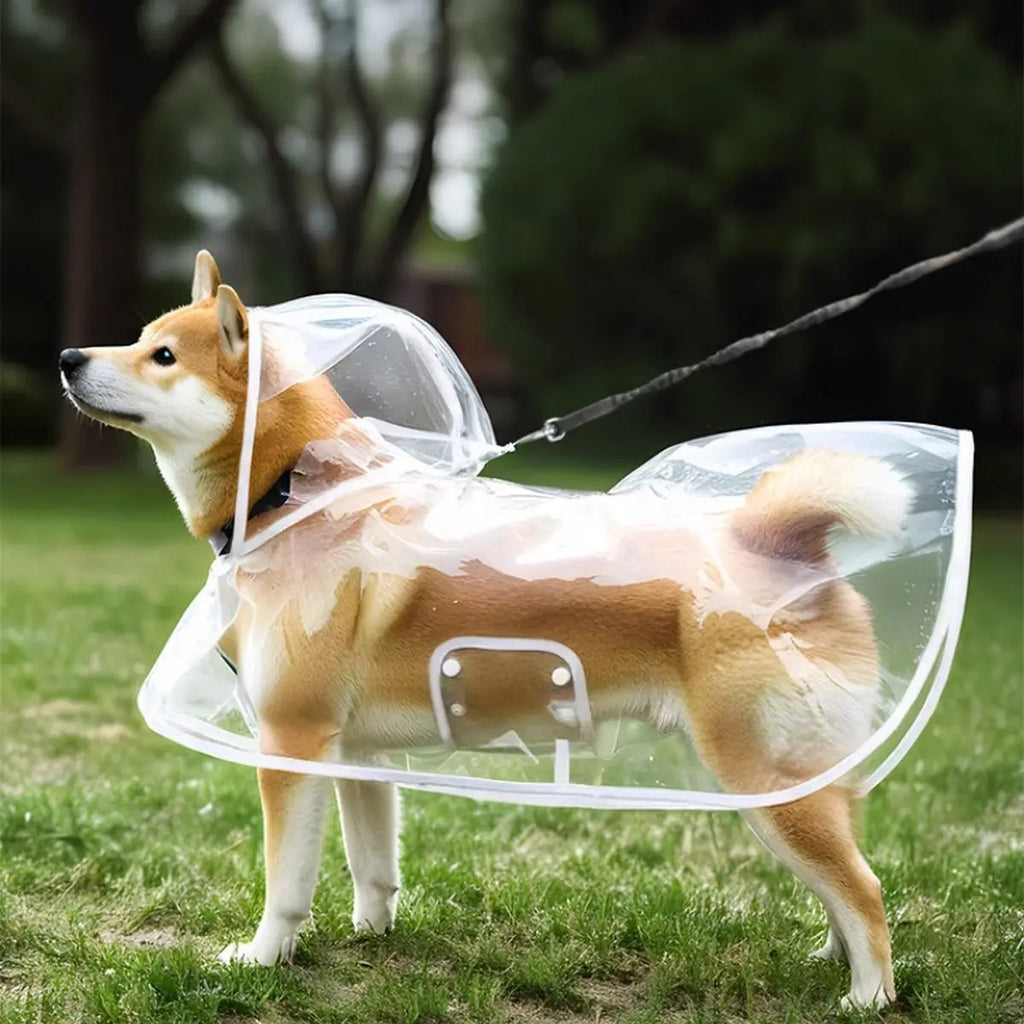 Dog Rain Poncho – Leash Hole, Clear, Waterproof_CWMM7297