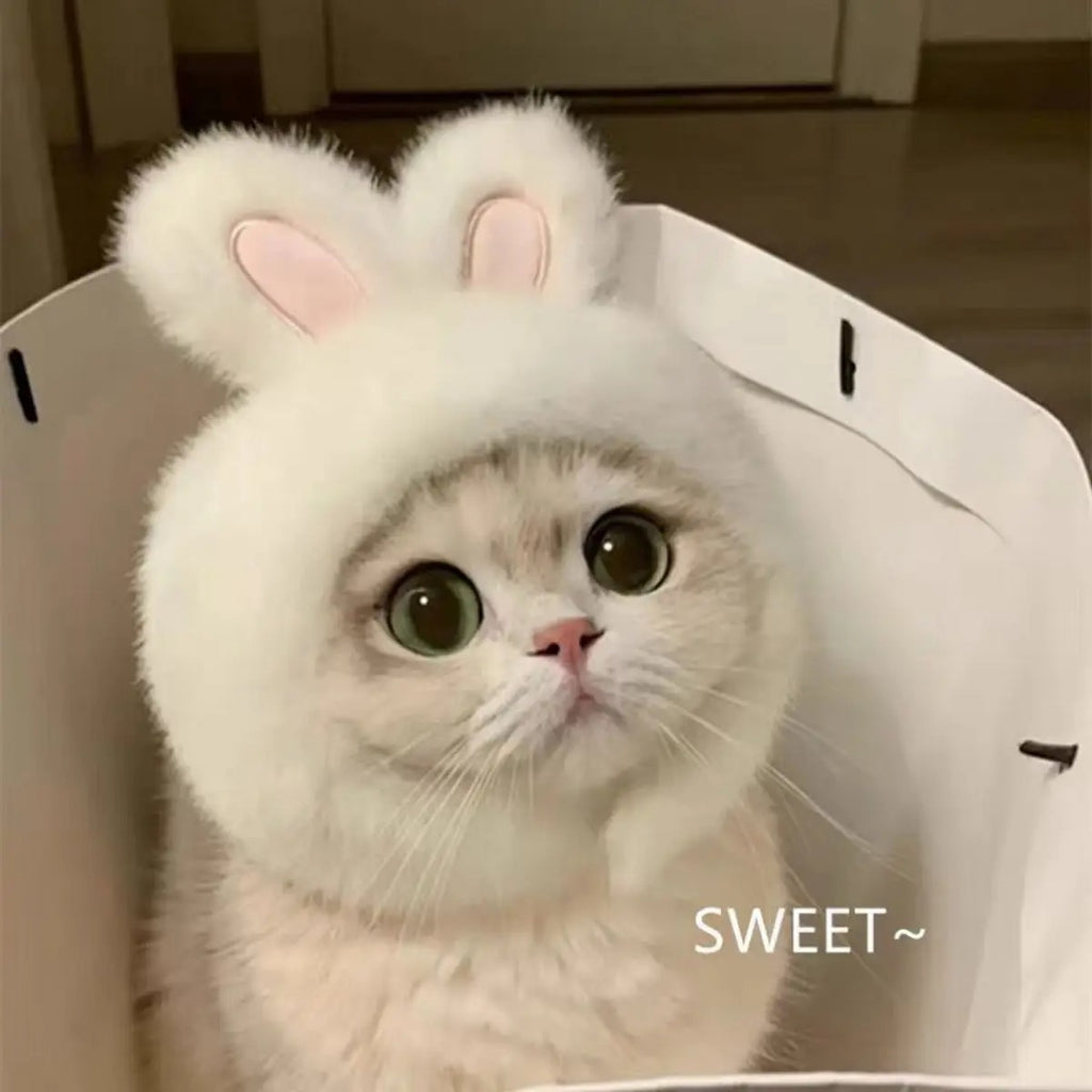 Bunny Ear Pet Hat – Cute Costume for Cats & Dogs_CWAH3704
