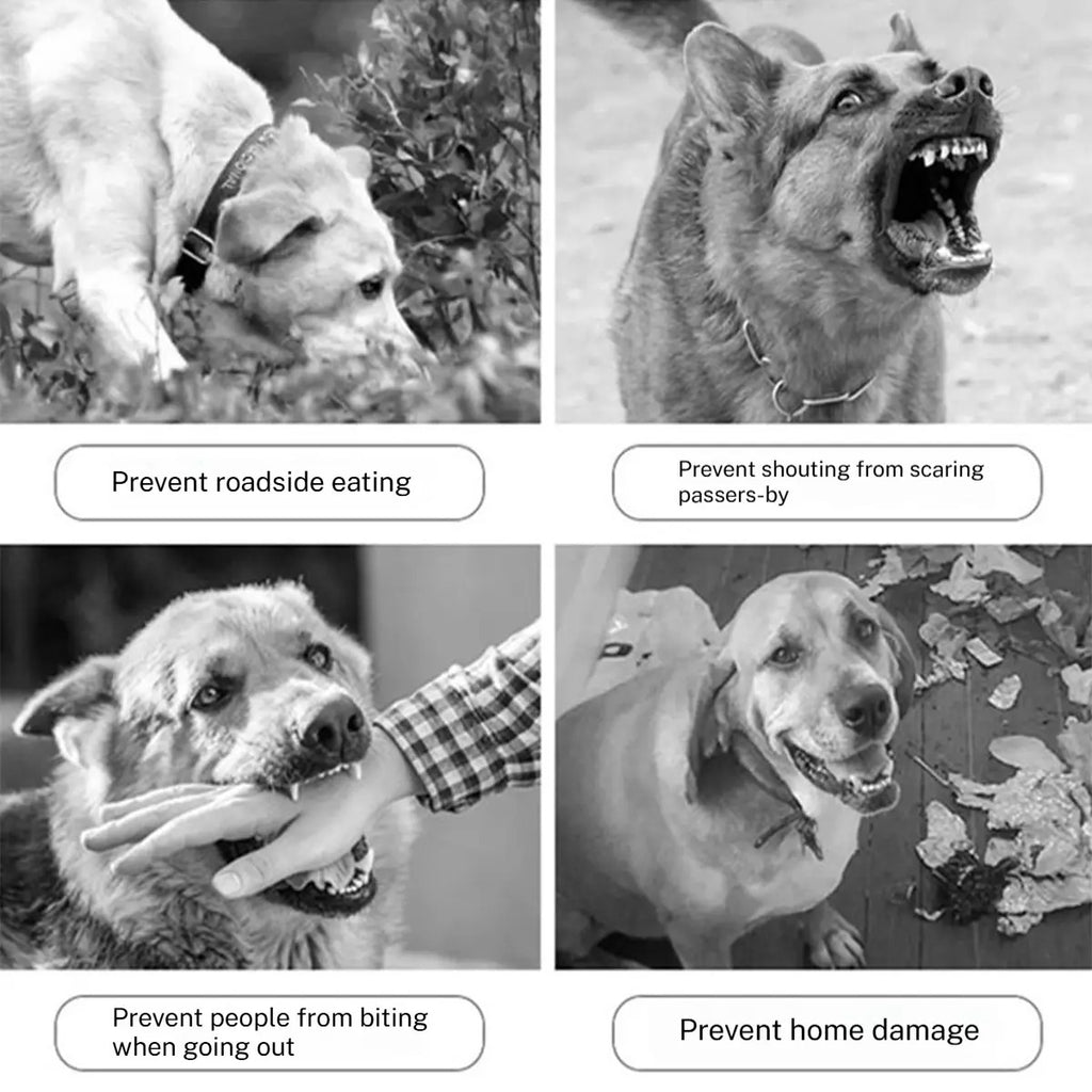 Mesh Dog Muzzle – Adjustable for Small Dogs_CWMM7263