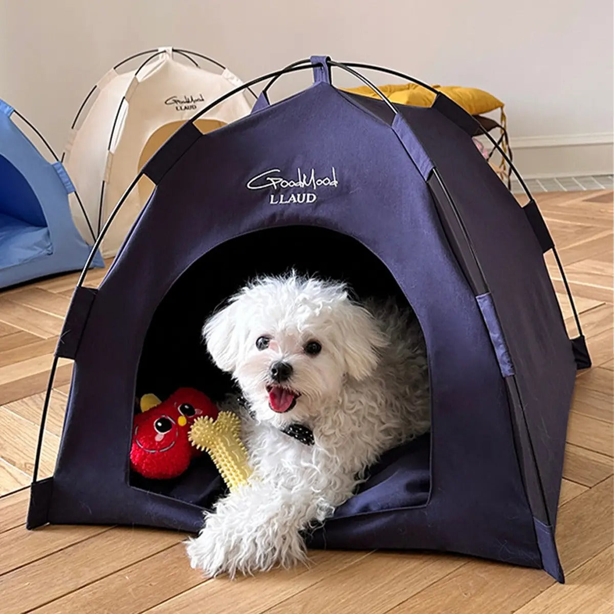 Foldable Tent Pet Bed – Semi-Enclosed & Cute_CWMM6698