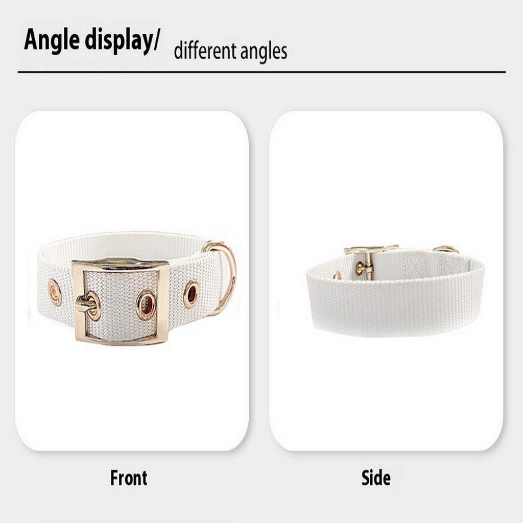 Adjustable Webbing Dog Collar with Buckle_CWMM7446