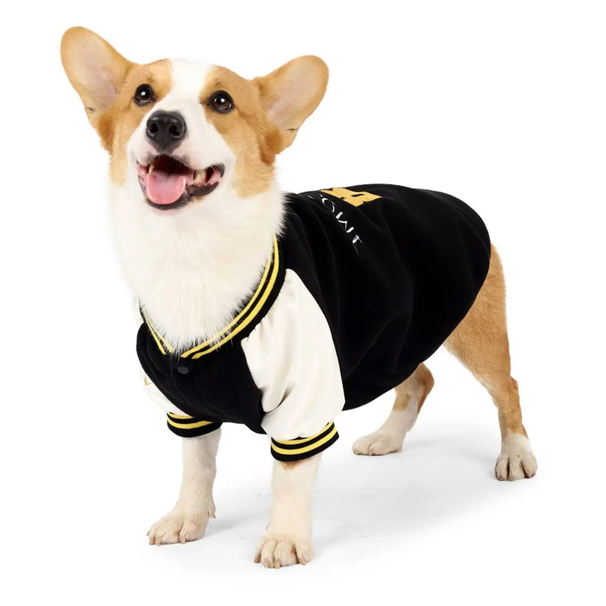 Dog Baseball Hoodie Jacket Warm Pet Sweatshirt_CWMM7466