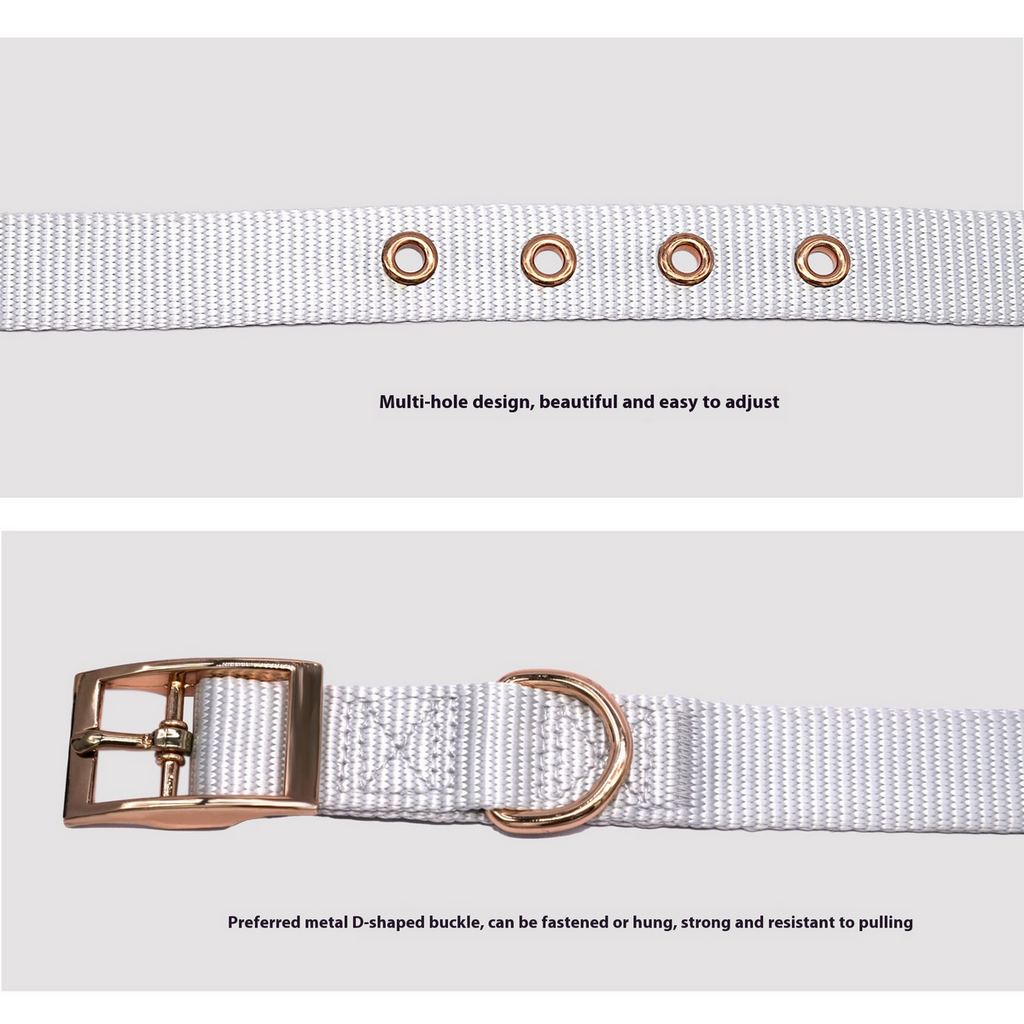 Adjustable Webbing Dog Collar with Buckle_CWMM7446