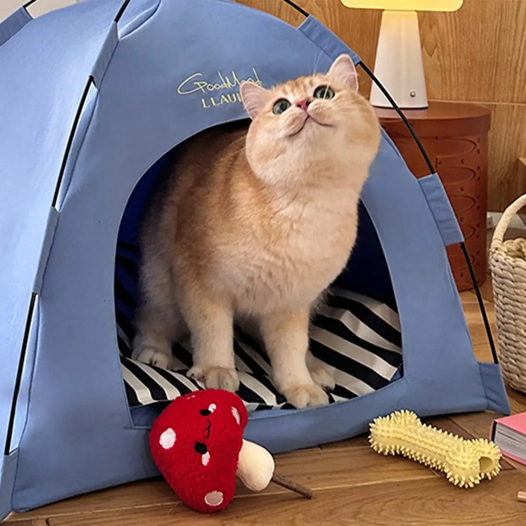 Foldable Tent Pet Bed – Semi-Enclosed & Cute_CWMM6698