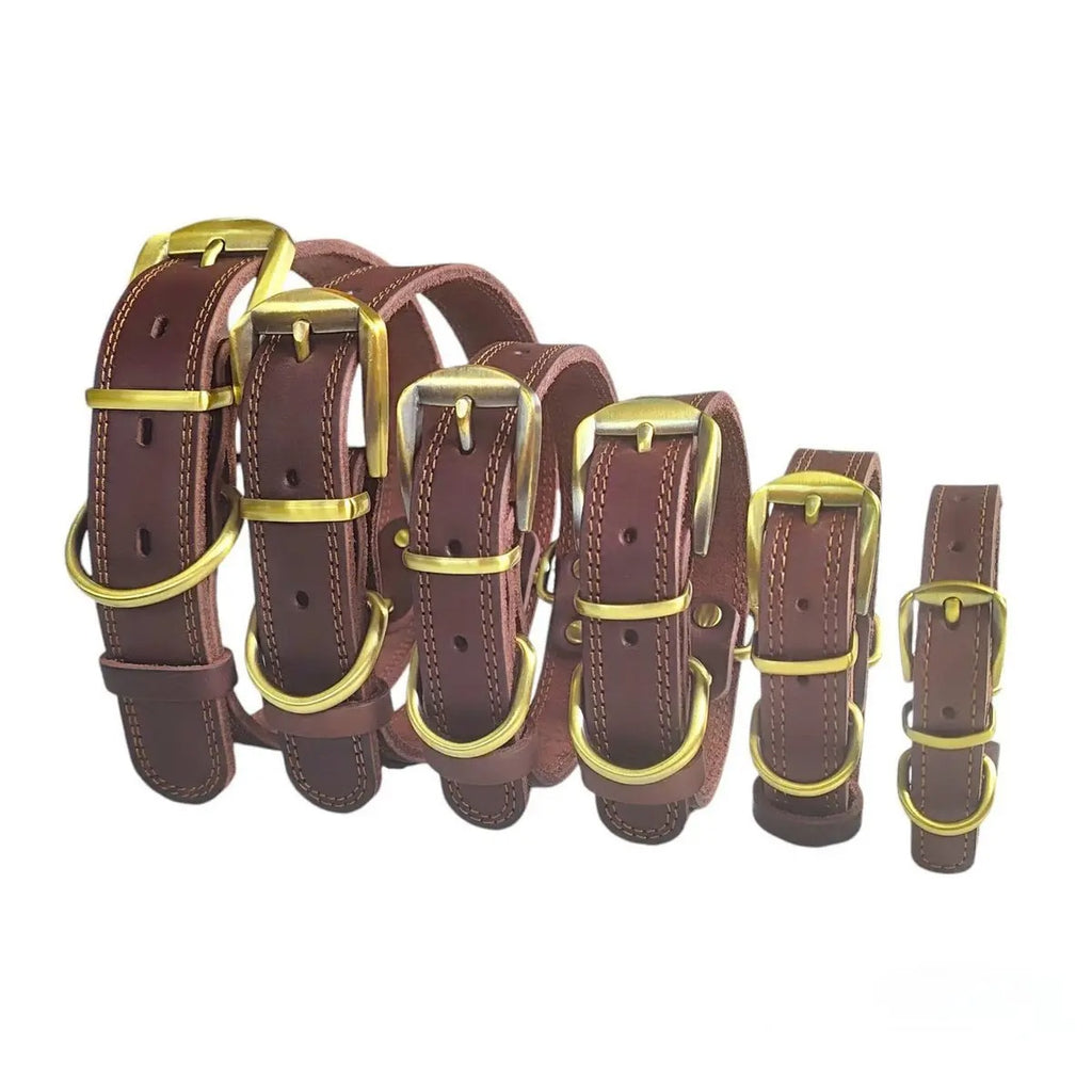 Full Grain Cowhide Leather Pet Collar with D-Rings_CWMM7678