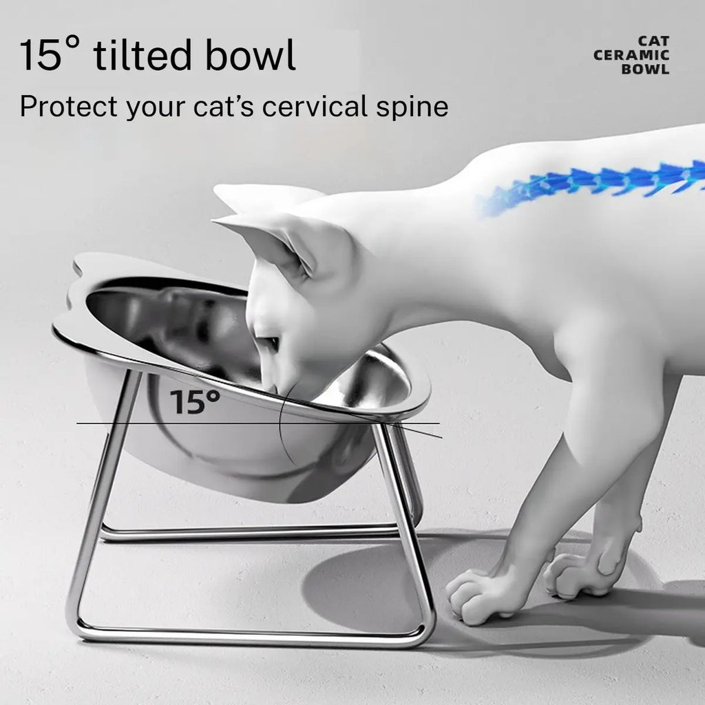 Elevated 304 Stainless Steel Anti-Spill Pet Bowl_CWMM6255