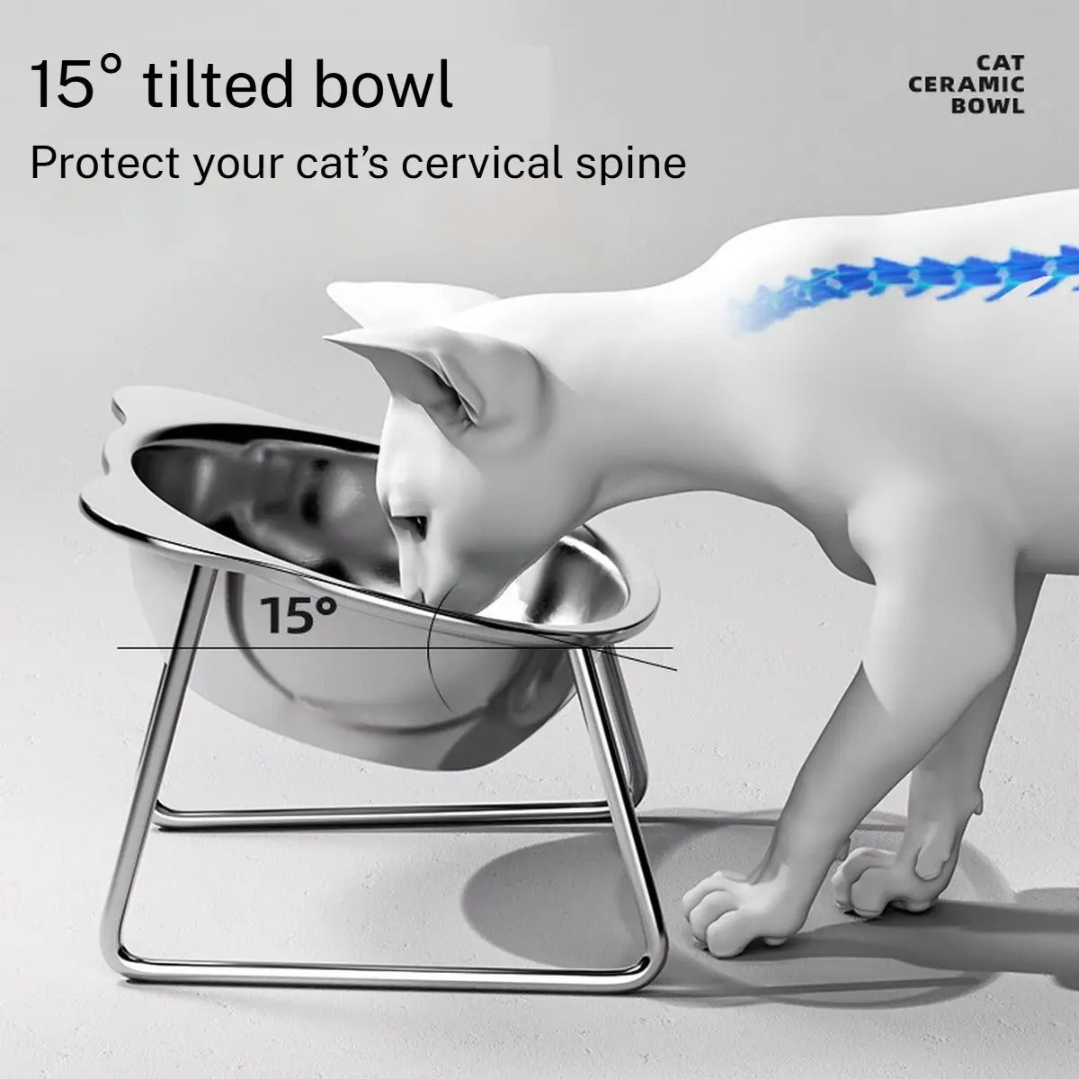 Elevated 304 Stainless Steel Anti-Spill Pet Bowl_CWMM6255