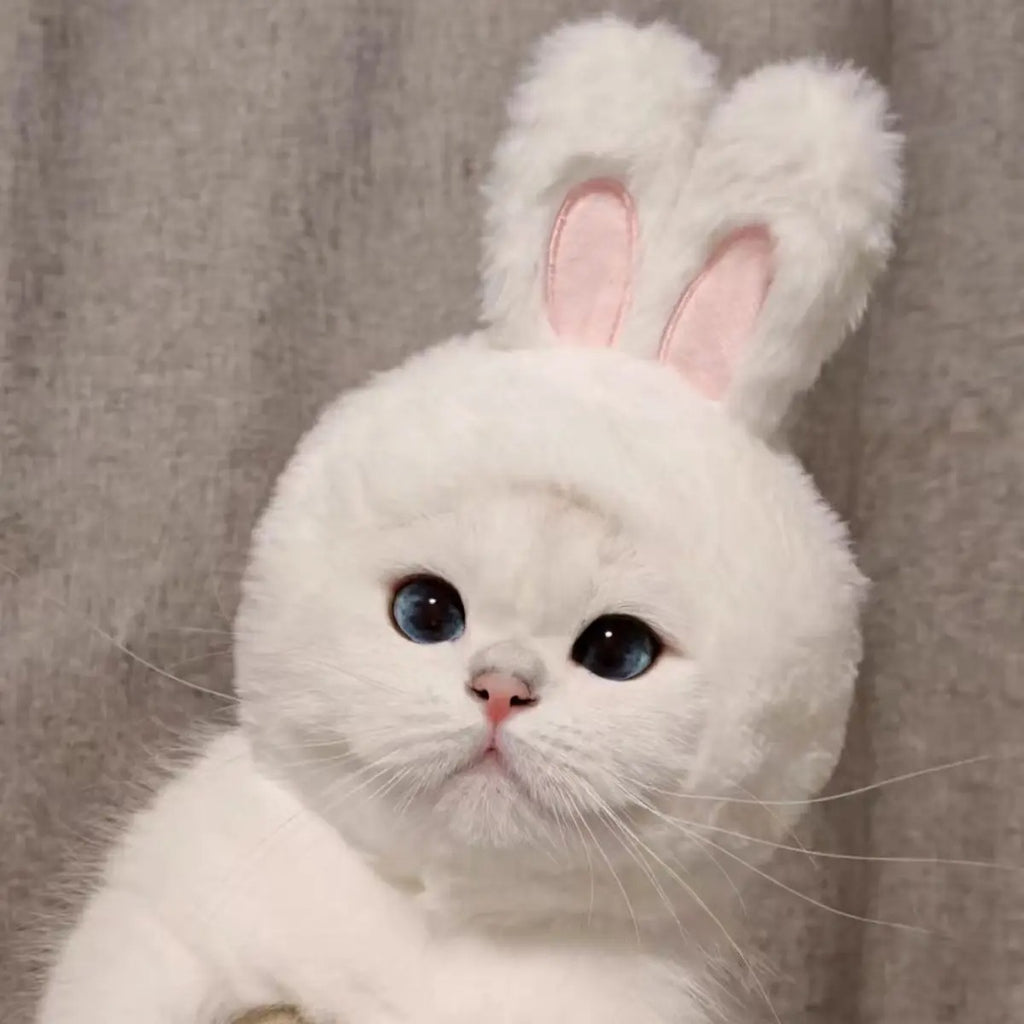 Bunny Ear Pet Hat – Cute Costume for Cats & Dogs_CWAH3704