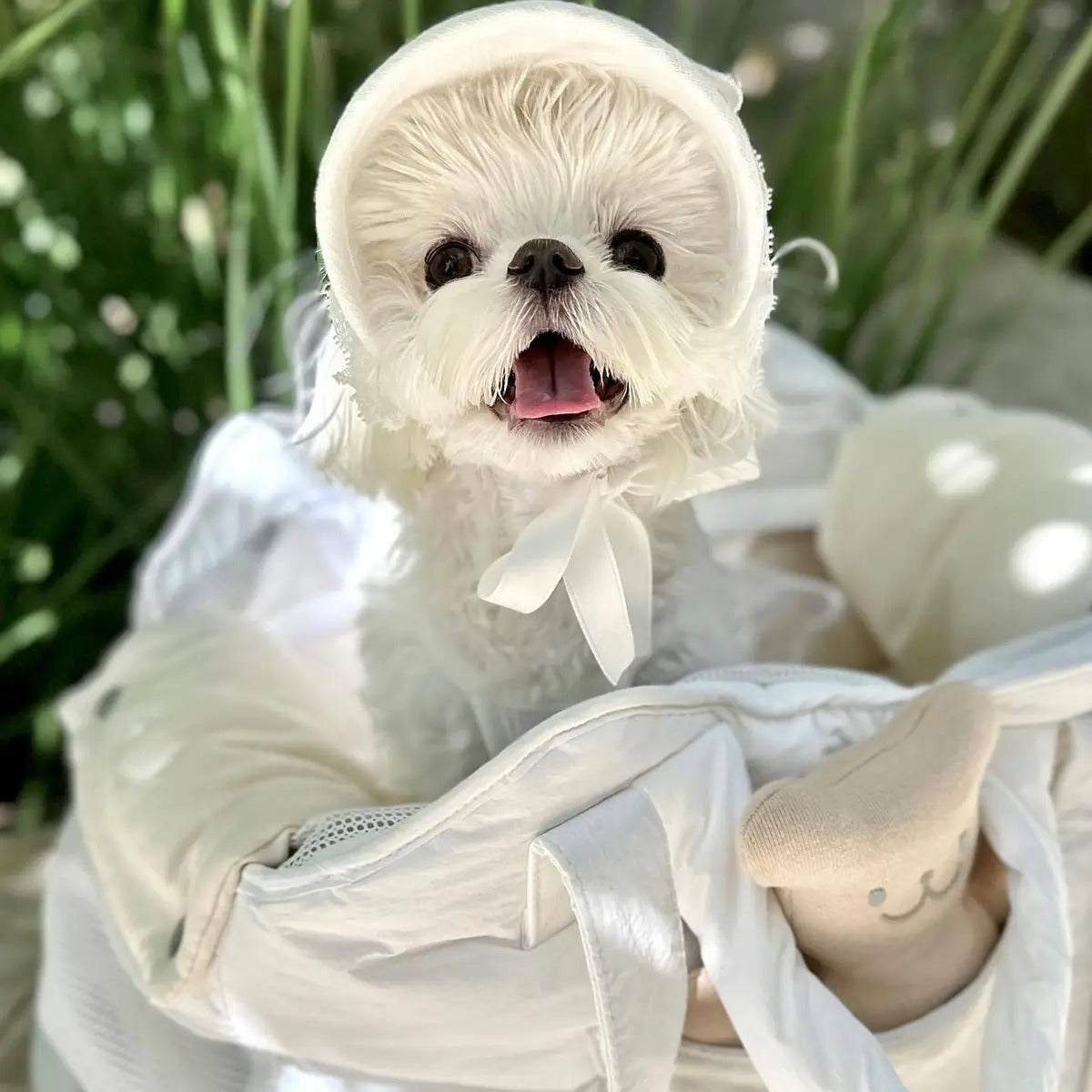 Lace Straw Sun Hat for Pets Adjustable Cat Dog Cap_CWAH3746