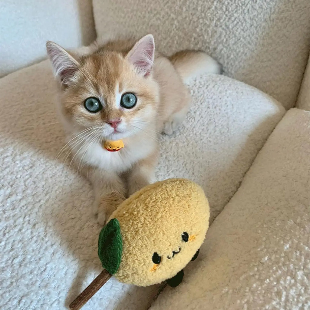 Cat Self-Play Chew Toy – Wood Matatabi Stick_CWMM6694