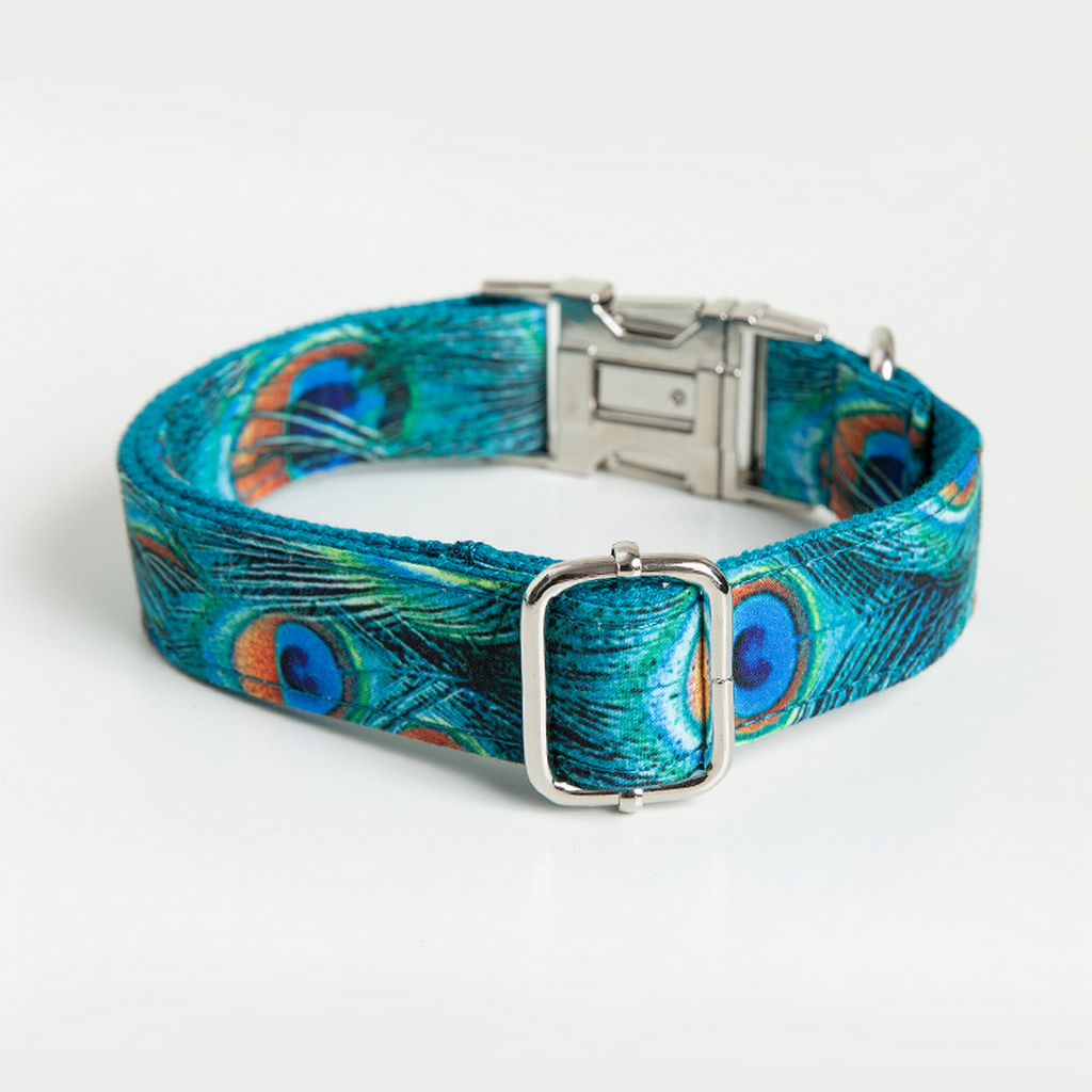 Big Dog Collar – Peacock Print with Metal Clip_CWMM7090