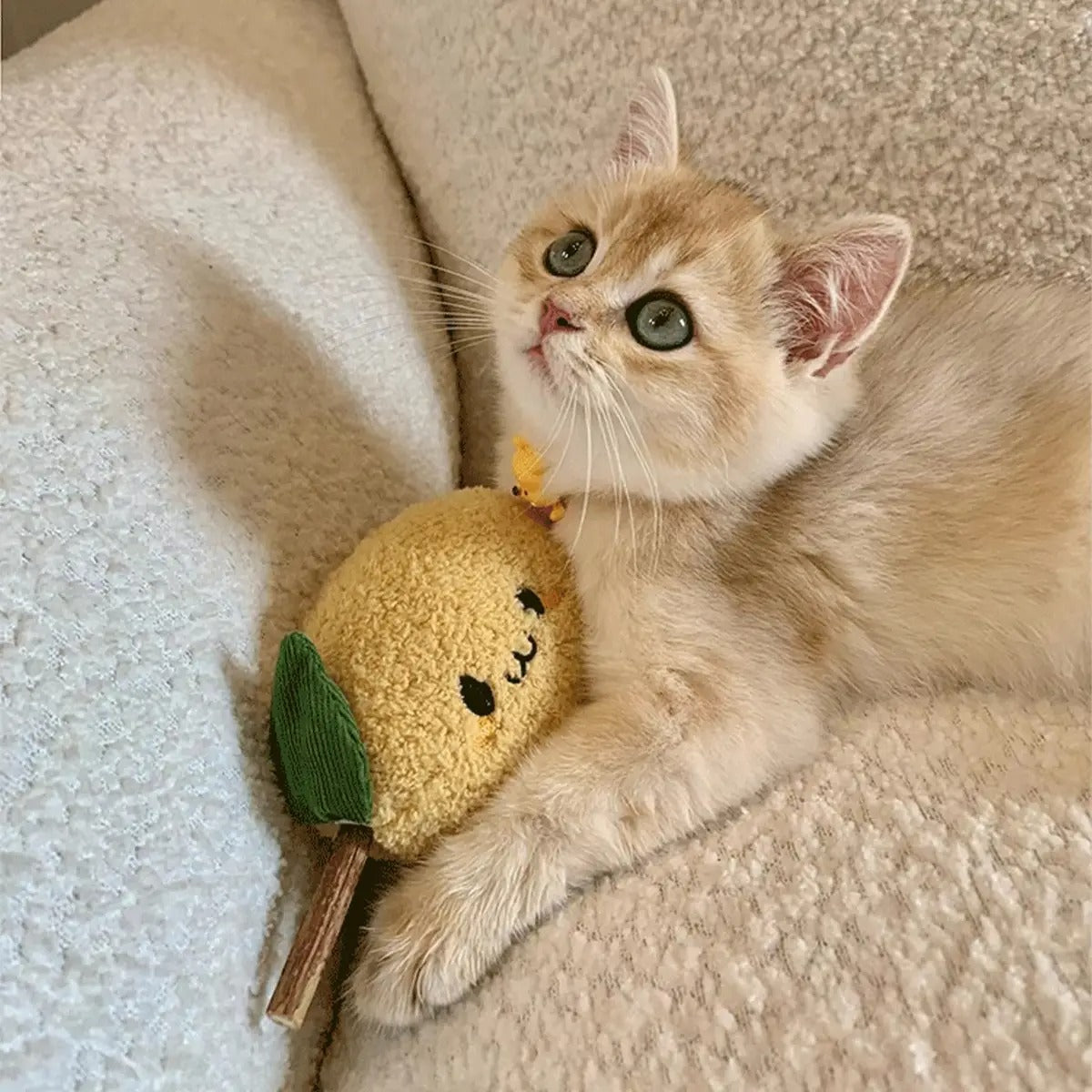 Cat Self-Play Chew Toy – Wood Matatabi Stick_CWMM6694