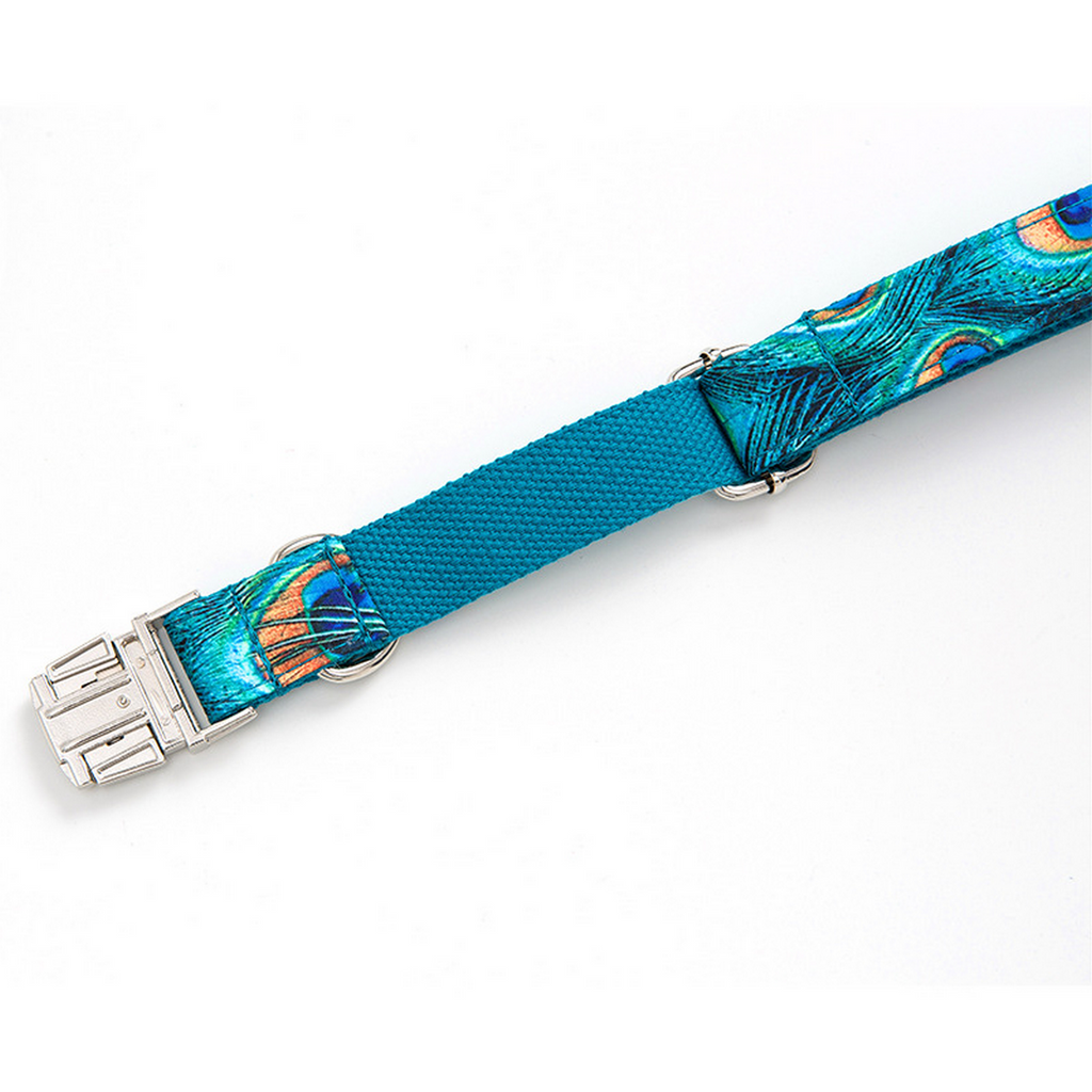 Big Dog Collar – Peacock Print with Metal Clip_CWMM7090