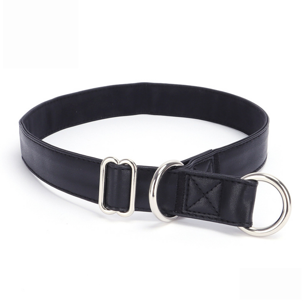 Adjustable PU P Collar – Anti-Choke Training Tool_CWMM7588