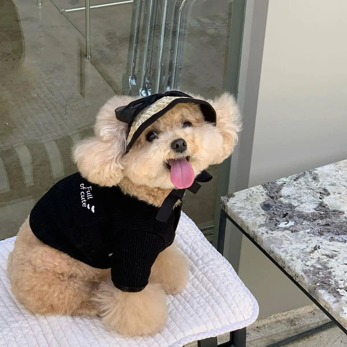 Lace Straw Sun Hat for Pets Adjustable Cat Dog Cap_CWAH3746