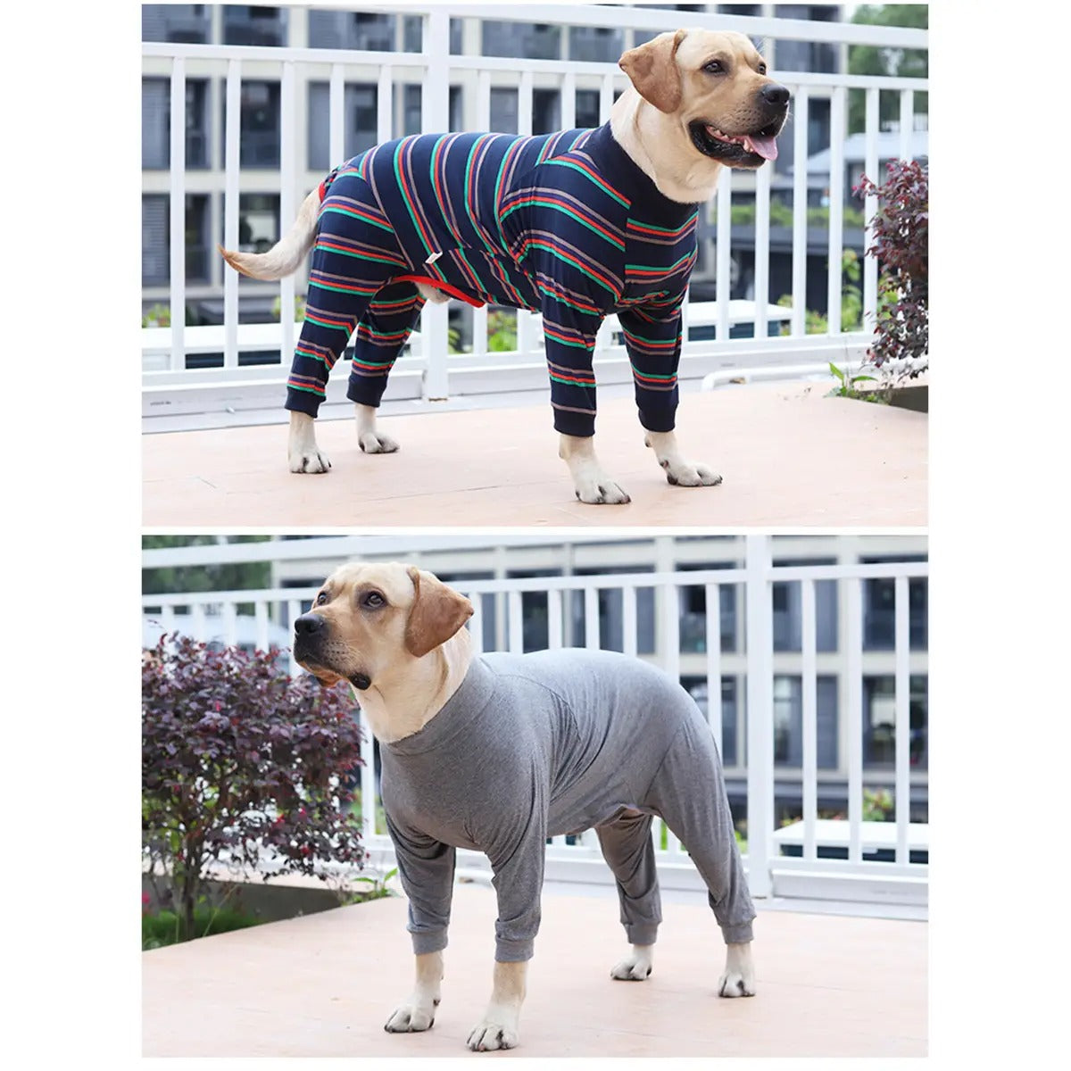 Full-Cover Elastic Dog Pajamas for Fall_CWMM7458