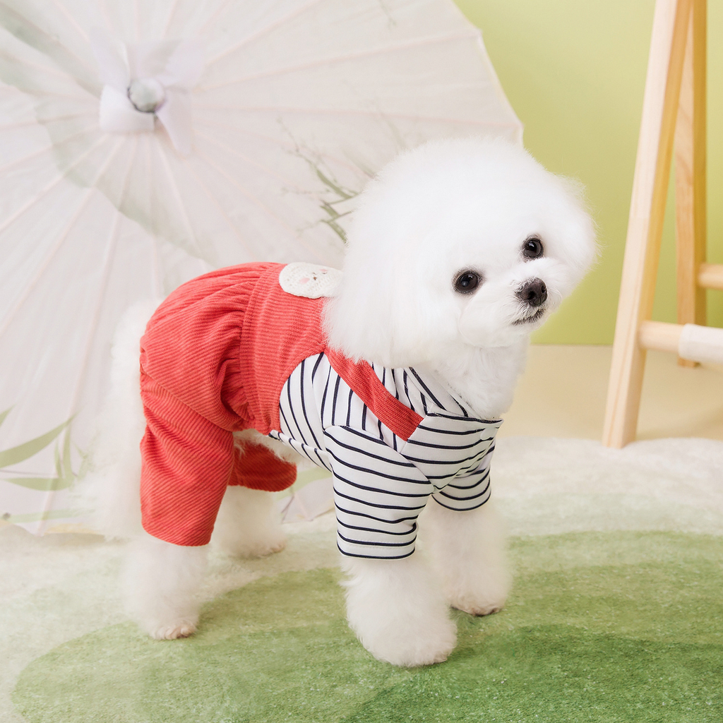 PawSuit Leash-Ready Pet Jumpsuit – Spring Wear_CWMM6985