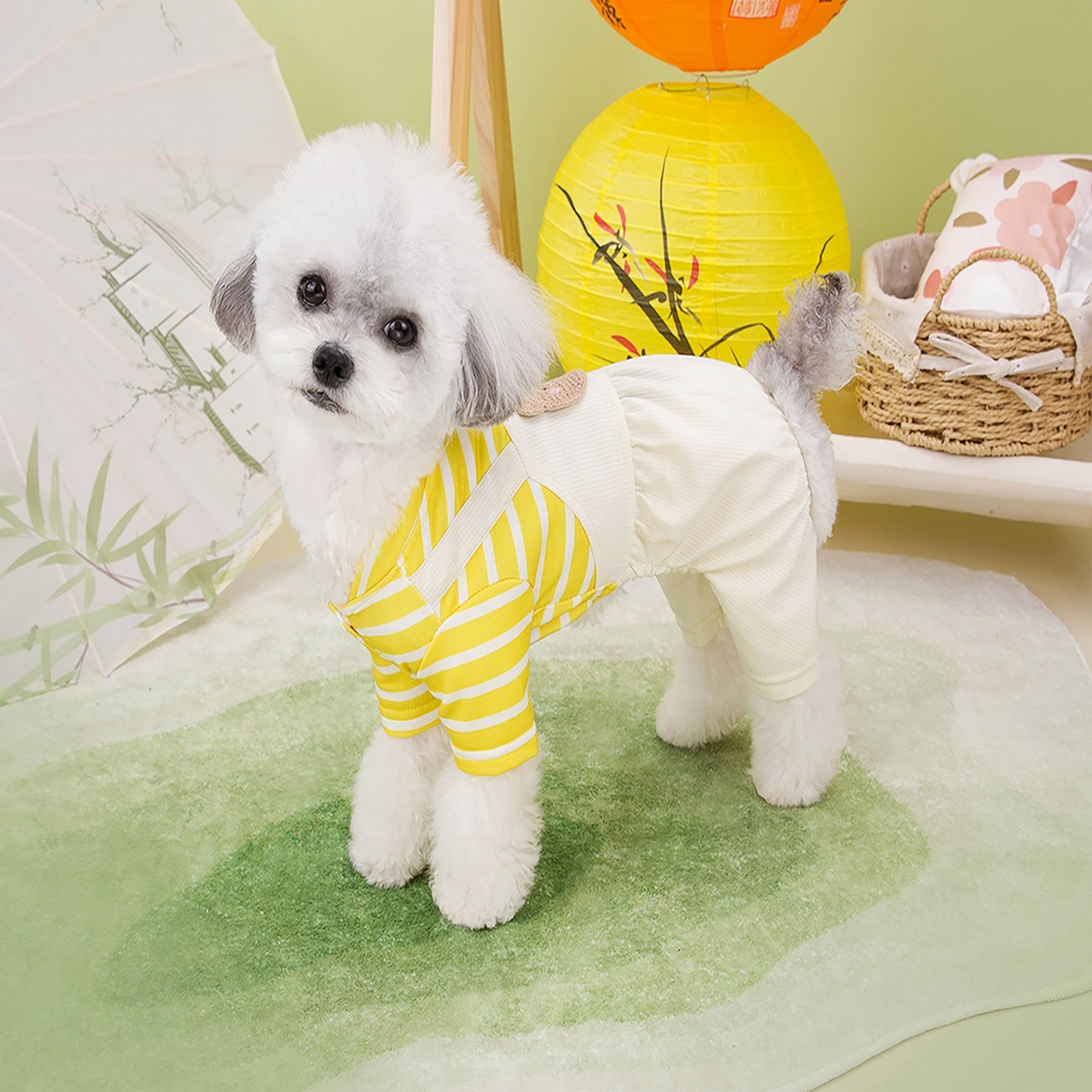 PawSuit Leash-Ready Pet Jumpsuit – Spring Wear_CWMM6985