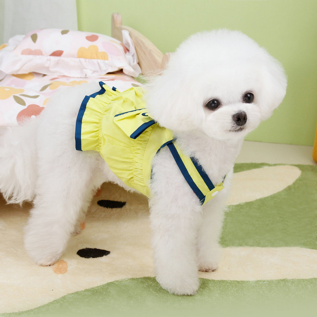 LaChic Pet Dress – Summer Style for Small Dogs_CWMM6981
