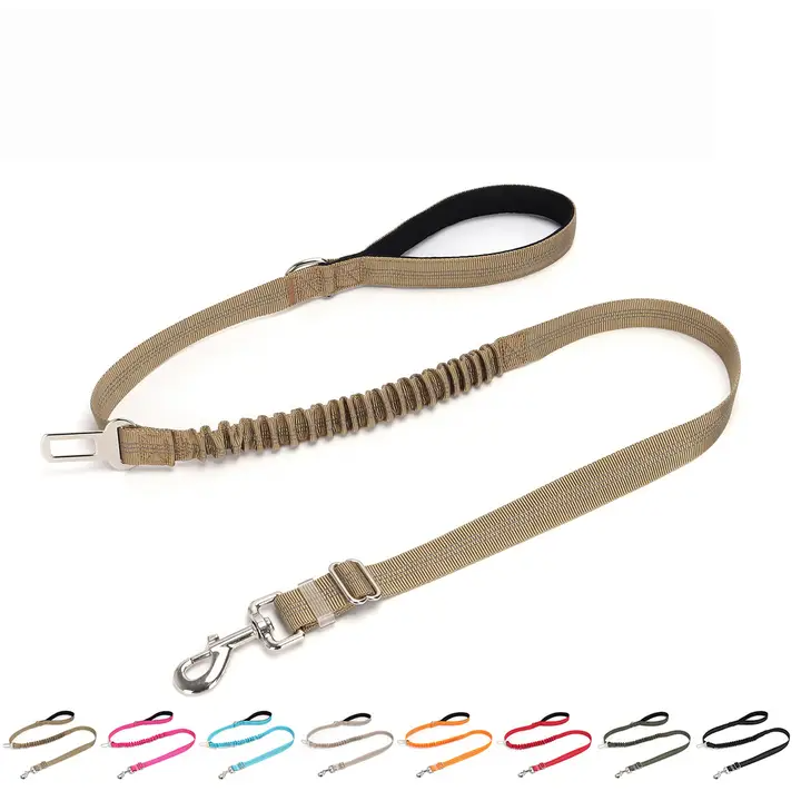 2-in-1 Dog Leash – Walking & Training Use_CWMM7611