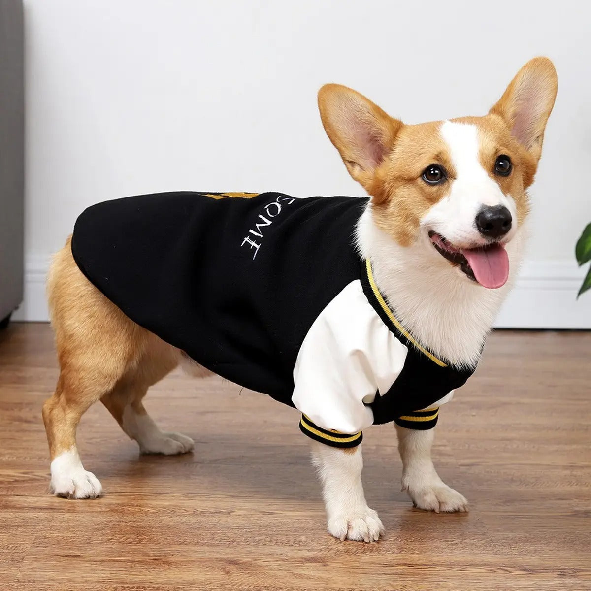 Dog Baseball Hoodie Jacket Warm Pet Sweatshirt_CWMM7466