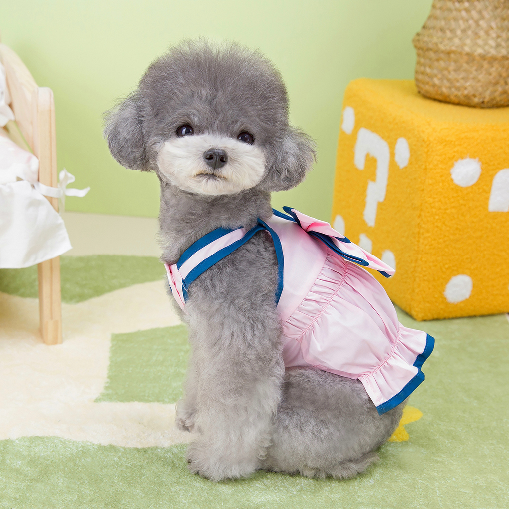 LaChic Pet Dress – Summer Style for Small Dogs_CWMM6981