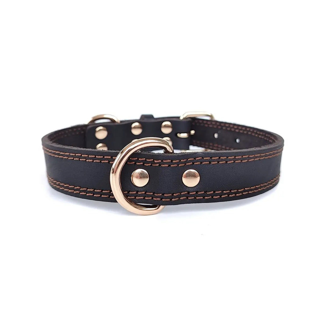 Full Grain Leather Pet Collar with D-Rings_CWMM7677