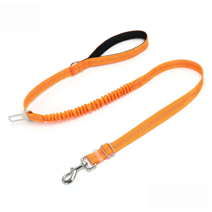 2-in-1 Dog Leash – Walking & Training Use_CWMM7611