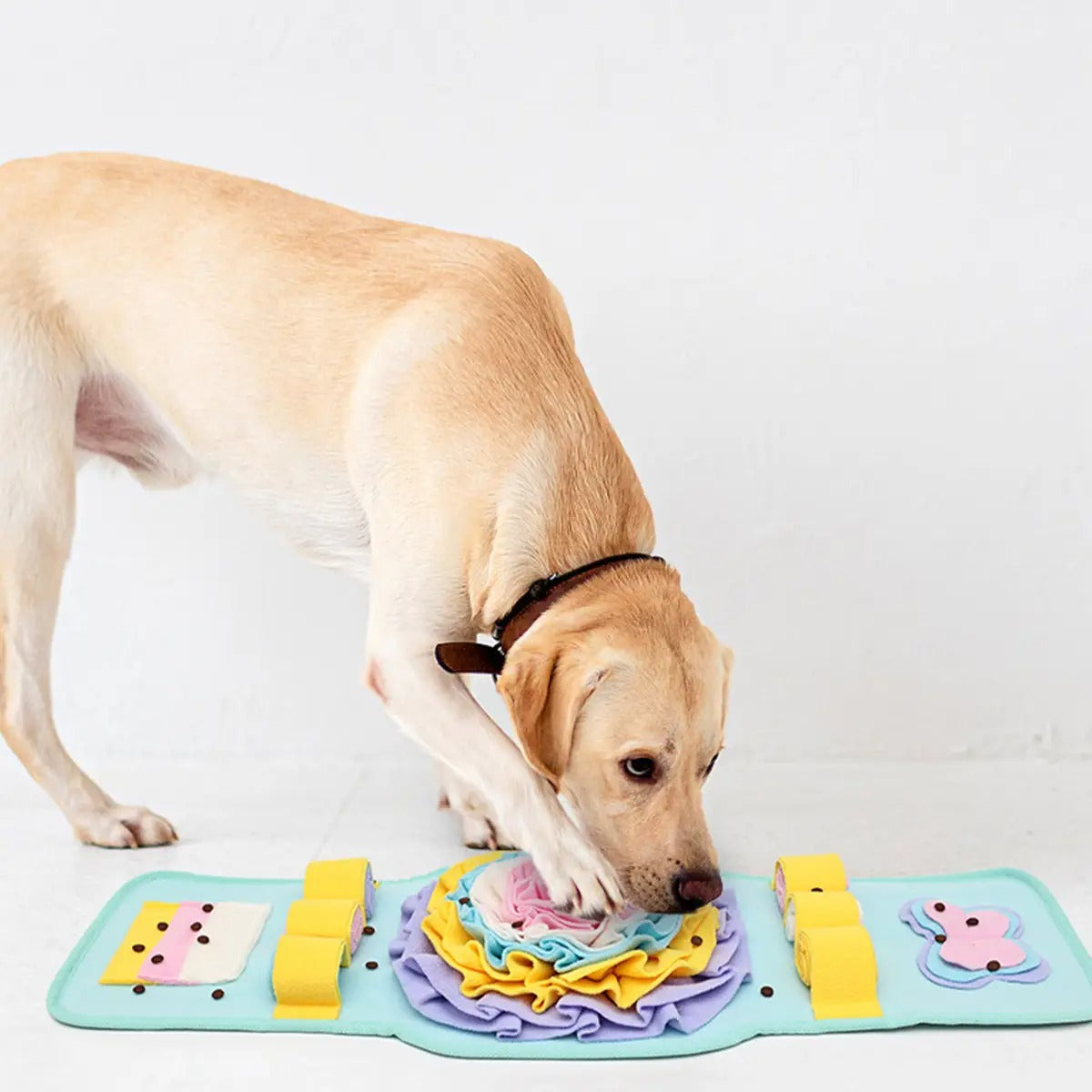 Dog Watch Snuffle Toy – Chew & Treat Puzzle Pad_CWMM6726