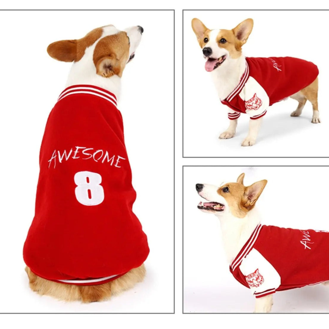Dog Baseball Hoodie Jacket Warm Pet Sweatshirt_CWMM7466
