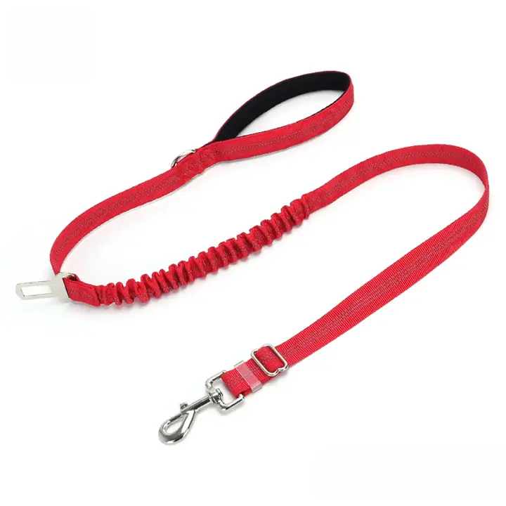 2-in-1 Dog Leash – Walking & Training Use_CWMM7611