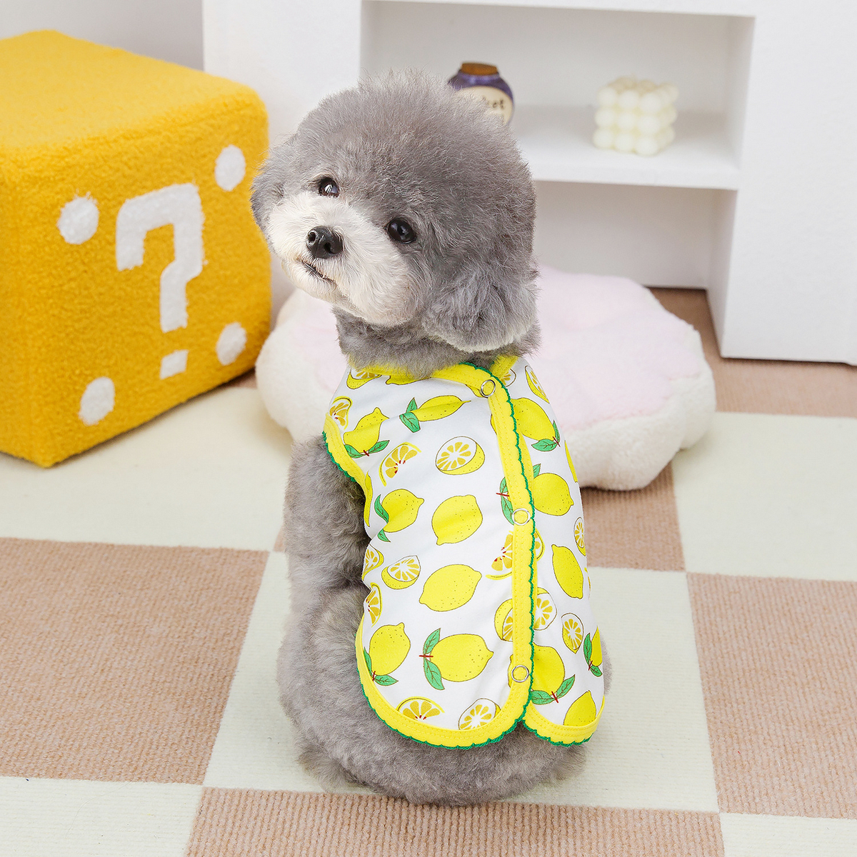 BreezyPet Mesh Vest for Dogs & Cats_CWMM6977