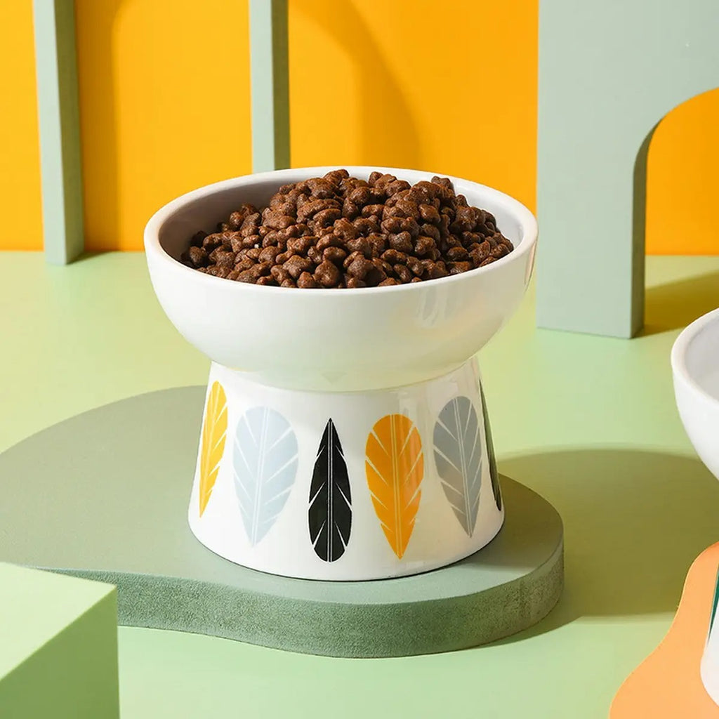 Elevated Pet Bowl Relieves Neck Pressure_CWMM5937