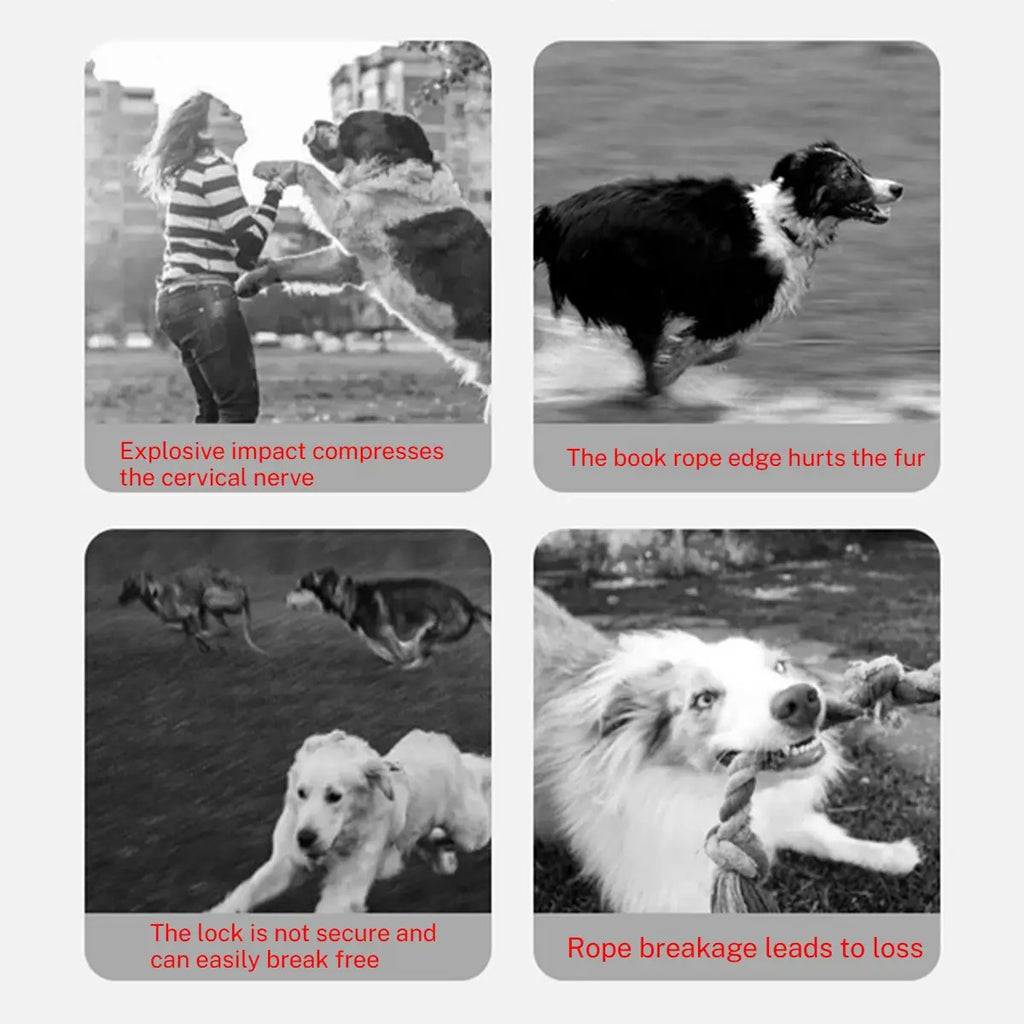 Heavy Duty Dog Leash for Medium & Large Dogs_CWMM7270