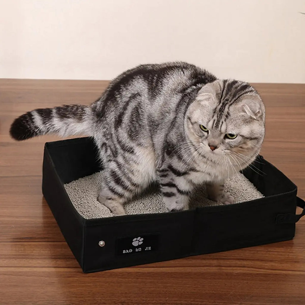 Foldable Oxford Cloth Cat Litter Box for Travel_CWMM6930