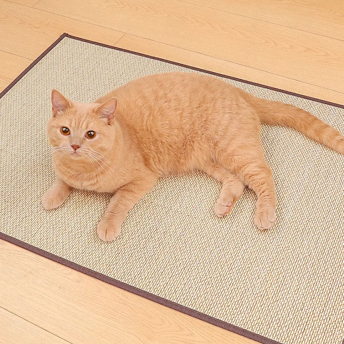 Anti-Scratch Cat Mat Sofa Protector Durable_CWMM6296