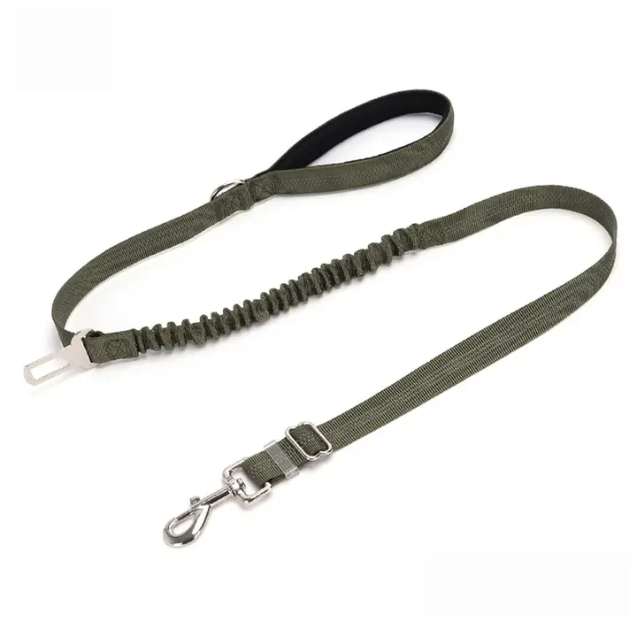 2-in-1 Dog Leash – Walking & Training Use_CWMM7611