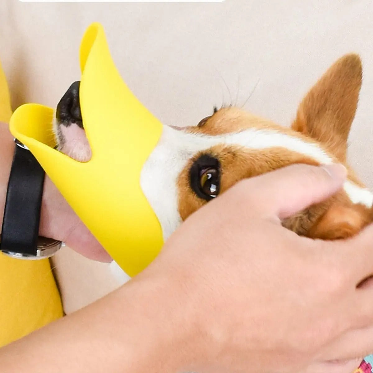 Adjustable Dog Muzzle for Biting & Chewing_CWMM6264