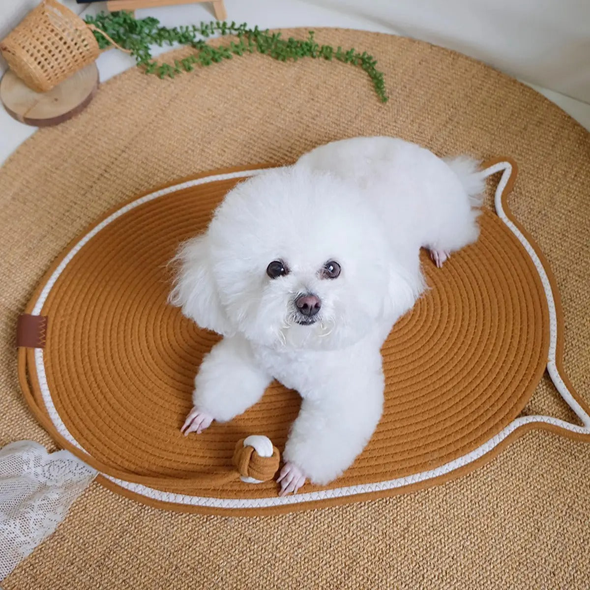 Oval Woven Cat Scratching Mat with Toy Ball_CWMM6566