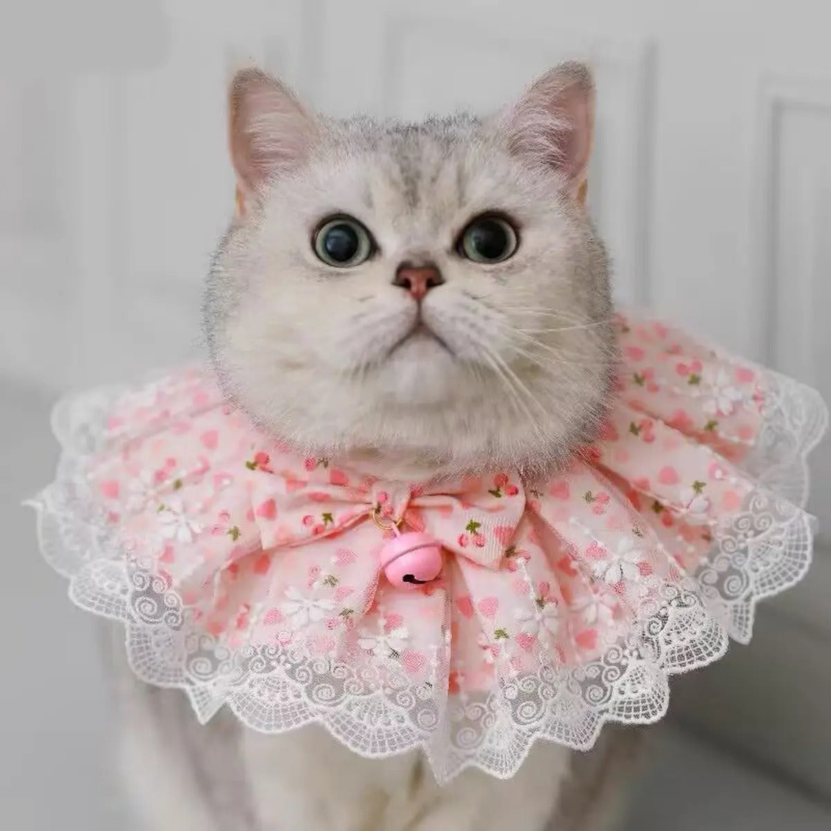 Cute Pet Bandana Bib – Dog Cat Scarf with Bowtie_CWMM7261