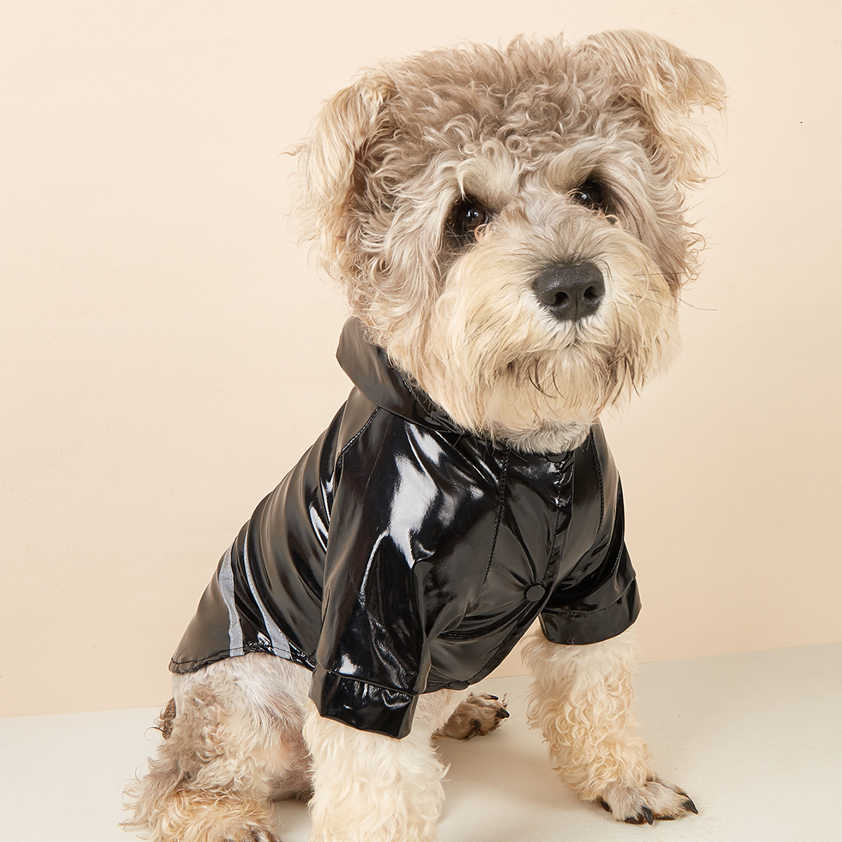 PU Dog Raincoat with Reflective Hood_CWMM7309