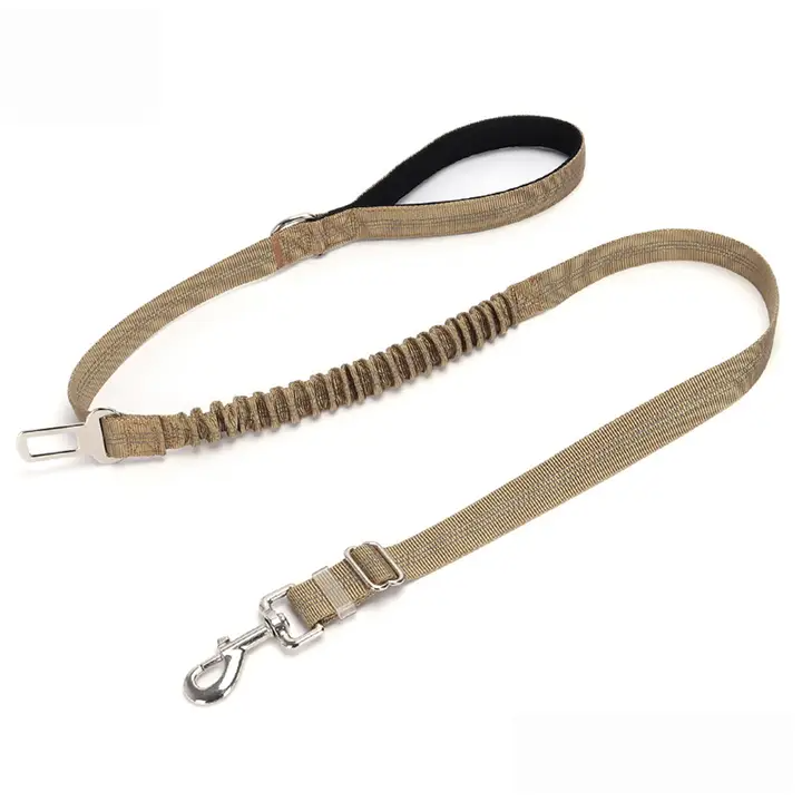 2-in-1 Dog Leash – Walking & Training Use_CWMM7611