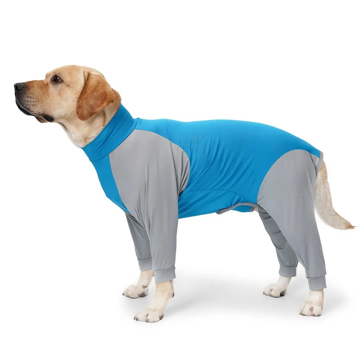 Breathable Full-Cover Dog Pajamas for Summer_CWMM7457