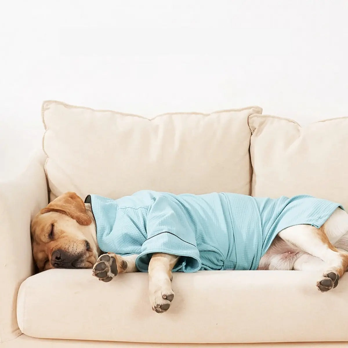 Dog Bathrobe Pajamas Soft Pet Loungewear Outfit_CWMM7465