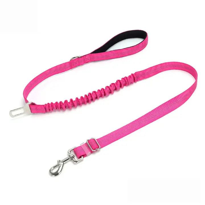 2-in-1 Dog Leash – Walking & Training Use_CWMM7611