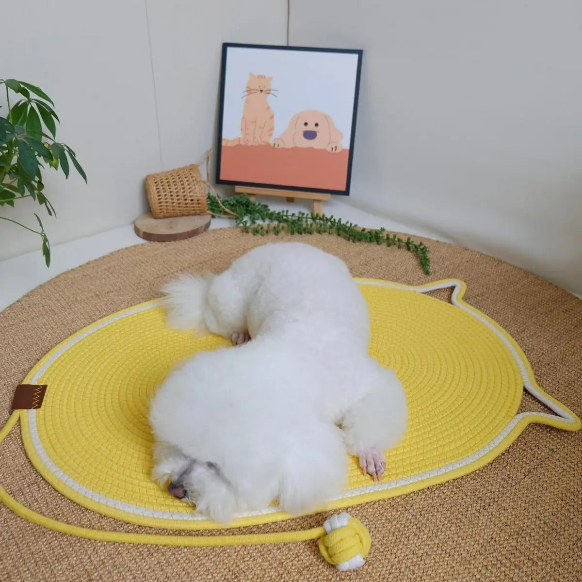 Oval Woven Cat Scratching Mat with Toy Ball_CWMM6566