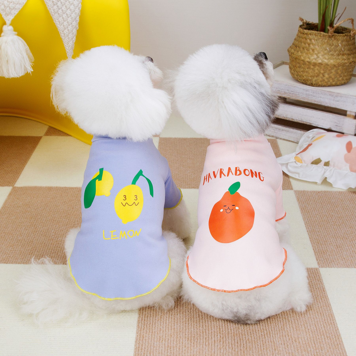 PawMelon Pet Tee – Cute Fruit Print Shirt_CWMM6988