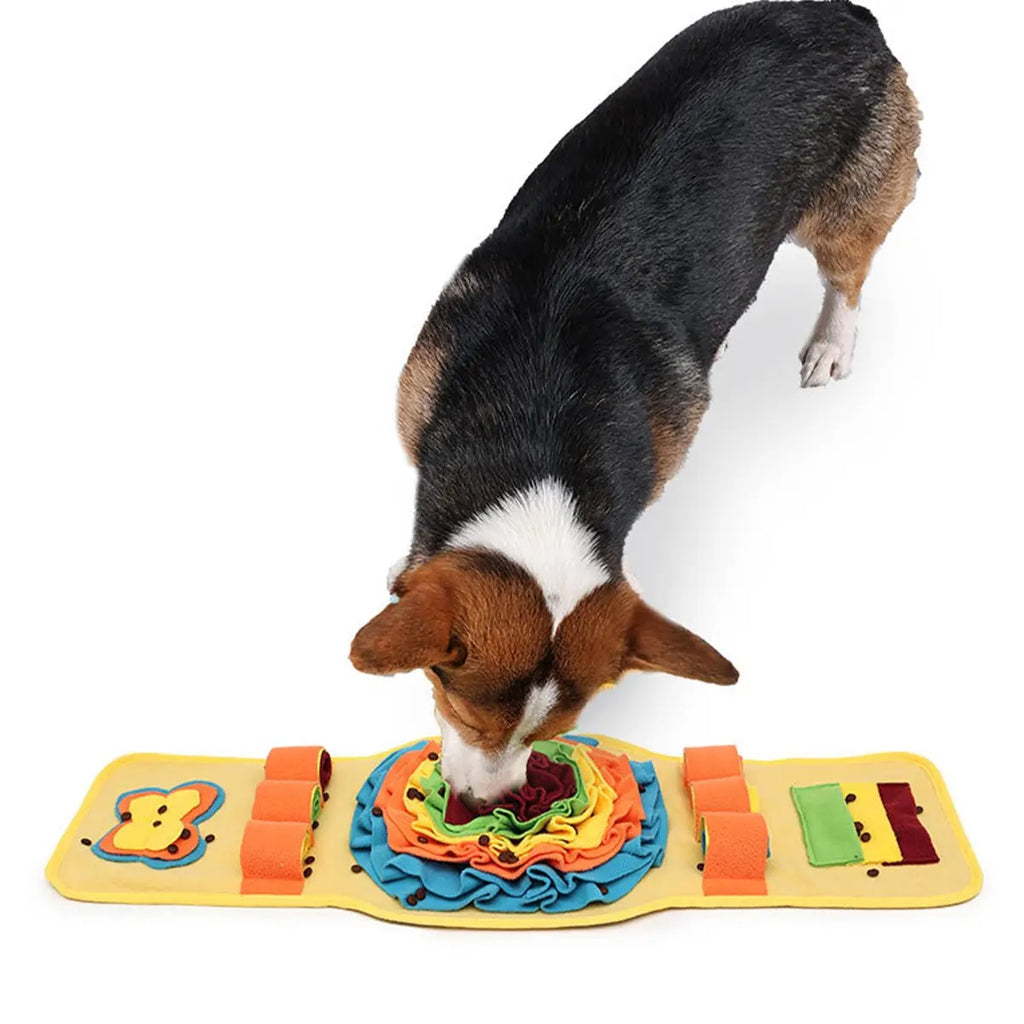 Dog Watch Snuffle Toy – Chew & Treat Puzzle Pad_CWMM6726