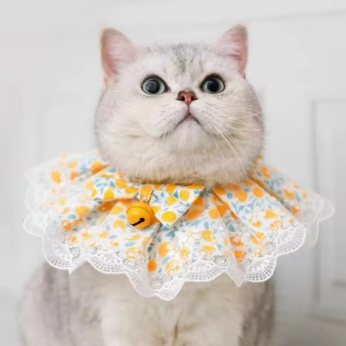 Cute Pet Bandana Bib – Dog Cat Scarf with Bowtie_CWMM7261